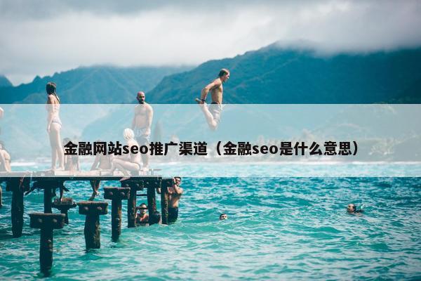 金融网站seo推广渠道（金融seo是什么意思）