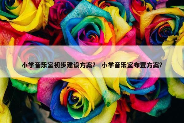 小学音乐室初步建设方案？ 小学音乐室布置方案？