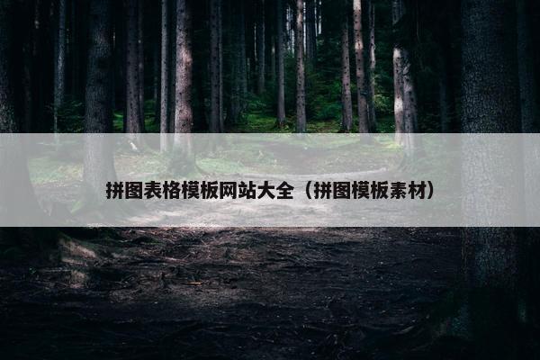 拼图表格模板网站大全（拼图模板素材）