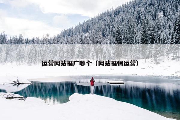 运营网站推广哪个（网站推销运营）