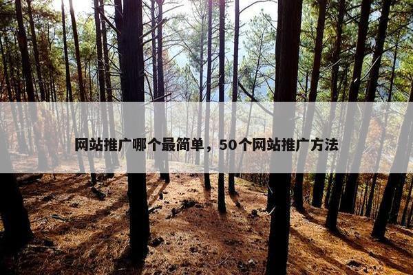 网站推广哪个最简单，50个网站推广方法