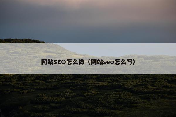 网站SEO怎么做（网站seo怎么写）