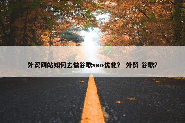 外贸网站如何去做谷歌seo优化？ 外贸 谷歌？
