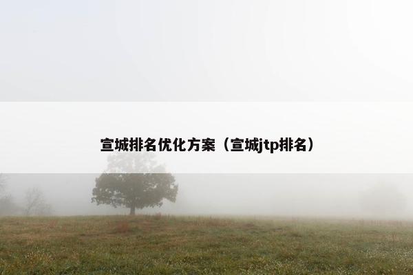 宣城排名优化方案（宣城jtp排名）