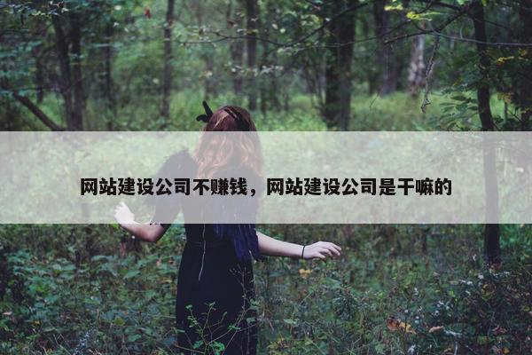 网站建设公司不赚钱，网站建设公司是干嘛的