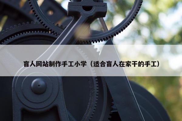 盲人网站制作手工小学（适合盲人在家干的手工）