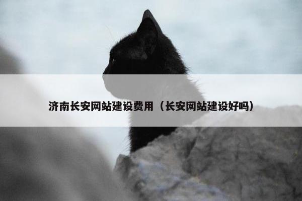 济南长安网站建设费用（长安网站建设好吗）