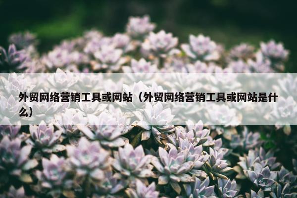 外贸网络营销工具或网站（外贸网络营销工具或网站是什么）