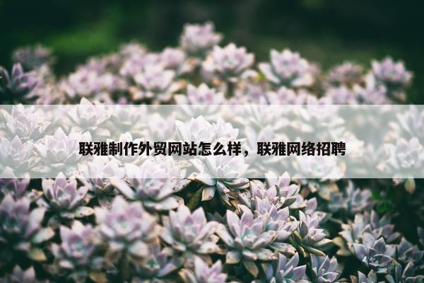 联雅制作外贸网站怎么样，联雅网络招聘