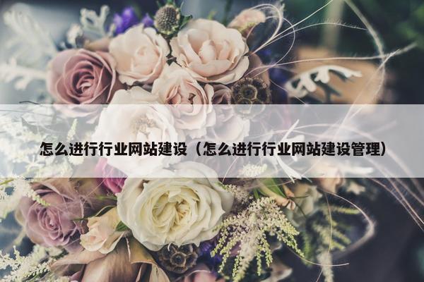怎么进行行业网站建设（怎么进行行业网站建设管理）