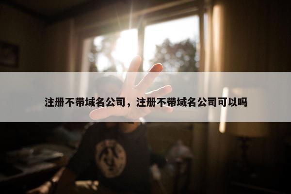 注册不带域名公司，注册不带域名公司可以吗