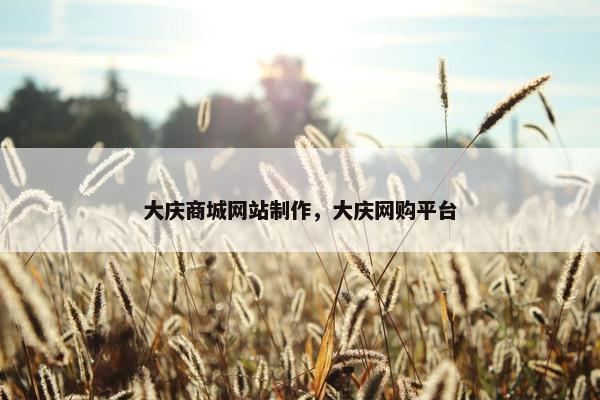 大庆商城网站制作，大庆网购平台