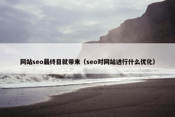 网站seo最终目就带来（seo对网站进行什么优化）
