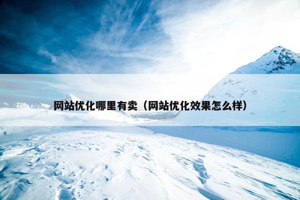 网站优化哪里有卖（网站优化效果怎么样）