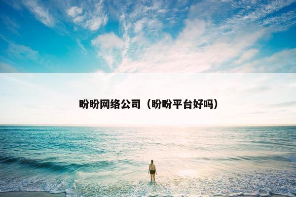 盼盼网络公司（盼盼平台好吗）