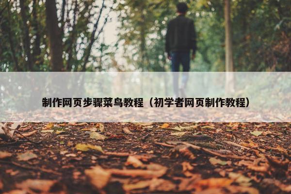 制作网页步骤菜鸟教程（初学者网页制作教程）