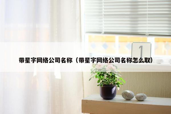 带星字网络公司名称（带星字网络公司名称怎么取）