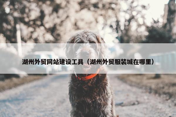 湖州外贸网站建设工具（湖州外贸服装城在哪里）