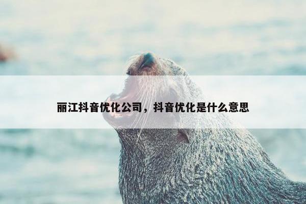 丽江抖音优化公司，抖音优化是什么意思