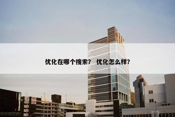 优化在哪个搜索？ 优化怎么样？