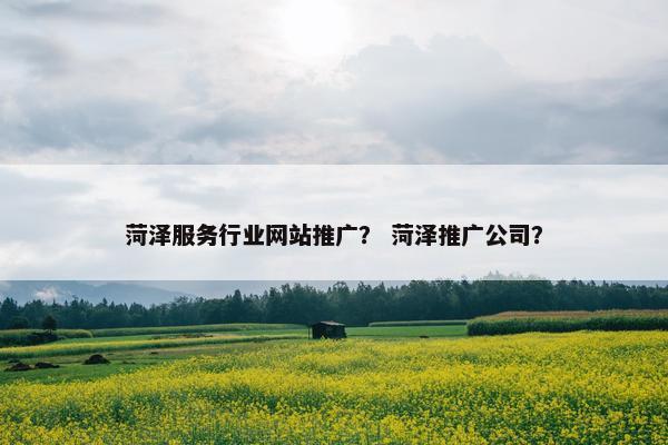 菏泽服务行业网站推广？ 菏泽推广公司？