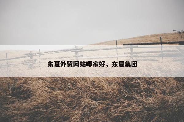 东夏外贸网站哪家好，东夏集团
