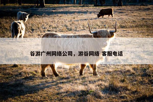 谷游广州网络公司，游谷网络 客服电话