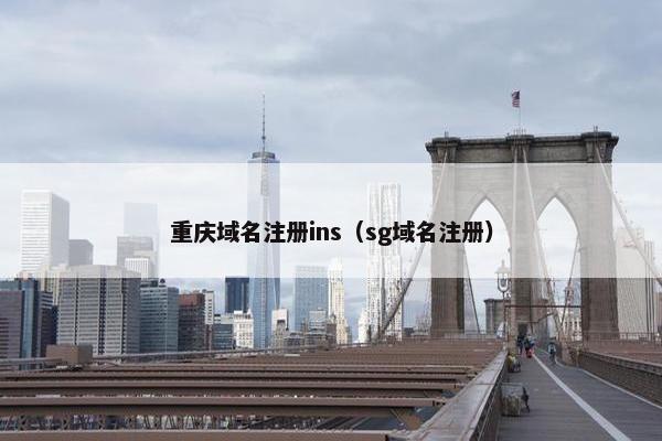重庆域名注册ins（sg域名注册）