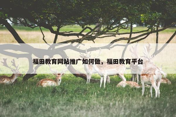 福田教育网站推广如何做，福田教育平台