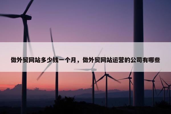 做外贸网站多少钱一个月，做外贸网站运营的公司有哪些