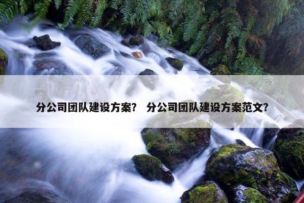 分公司团队建设方案？ 分公司团队建设方案范文？