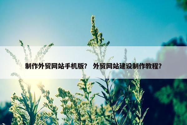 制作外贸网站手机版？ 外贸网站建设制作教程？