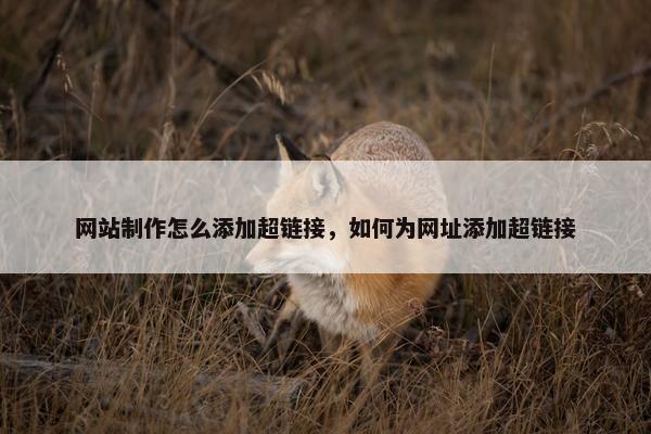 网站制作怎么添加超链接，如何为网址添加超链接