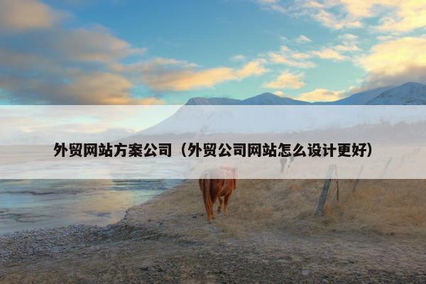 外贸网站方案公司（外贸公司网站怎么设计更好）