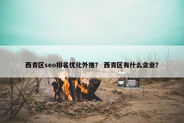 西青区seo排名优化外推？ 西青区有什么企业？