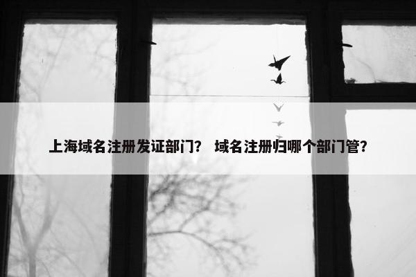 上海域名注册发证部门？ 域名注册归哪个部门管？