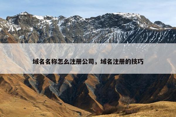 域名名称怎么注册公司，域名注册的技巧
