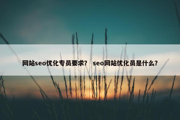 网站seo优化专员要求？ seo网站优化员是什么？