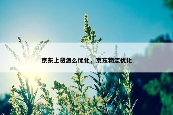 京东上货怎么优化，京东物流优化