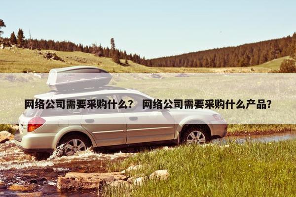 网络公司需要采购什么？ 网络公司需要采购什么产品？
