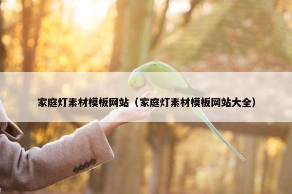 家庭灯素材模板网站（家庭灯素材模板网站大全）