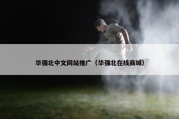 华强北中文网站推广（华强北在线商城）
