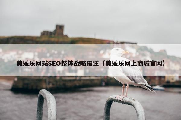 美乐乐网站SEO整体战略描述（美乐乐网上商城官网）