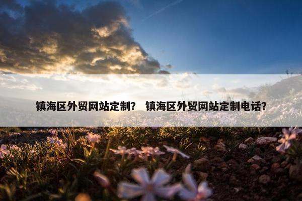 镇海区外贸网站定制？ 镇海区外贸网站定制电话？