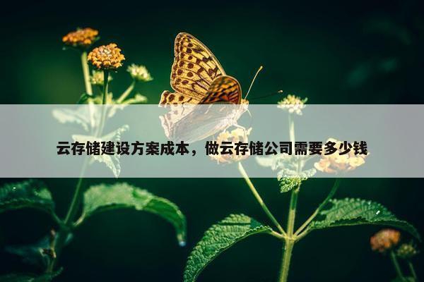 云存储建设方案成本，做云存储公司需要多少钱