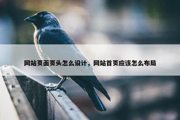 网站页面页头怎么设计，网站首页应该怎么布局
