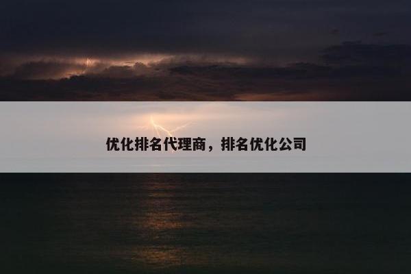 优化排名代理商，排名优化公司