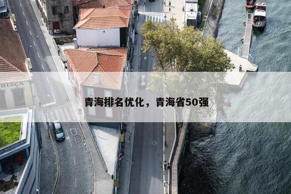 青海排名优化，青海省50强