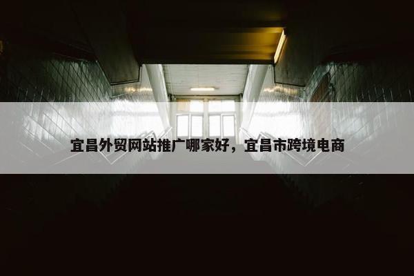 宜昌外贸网站推广哪家好，宜昌市跨境电商