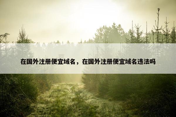 在国外注册便宜域名，在国外注册便宜域名违法吗
